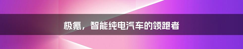 极氪,智能纯电汽车的领跑者