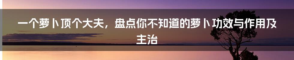 一个萝卜顶个大夫，盘点你不知道的萝卜功效与作用及主治