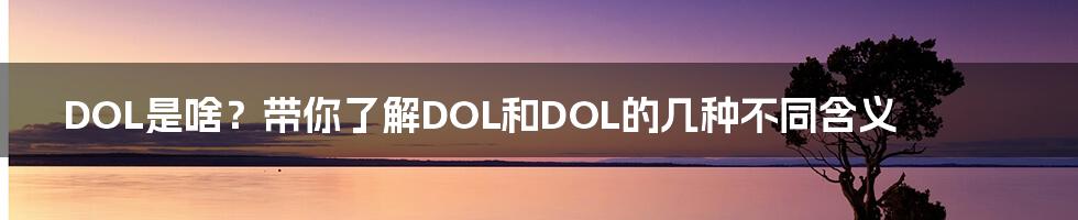DOL是啥?带你了解DOL和DOL的几种不同含义
