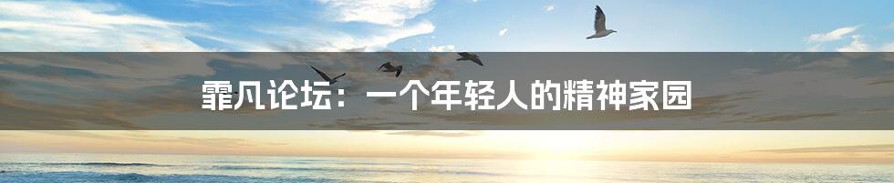 霏凡论坛:一个年轻人的精神家园
