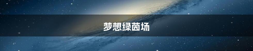 梦想绿茵场