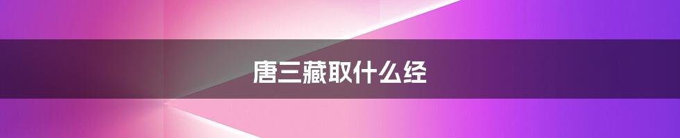 唐三藏取什么经