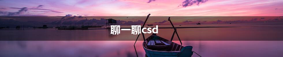 聊一聊csd