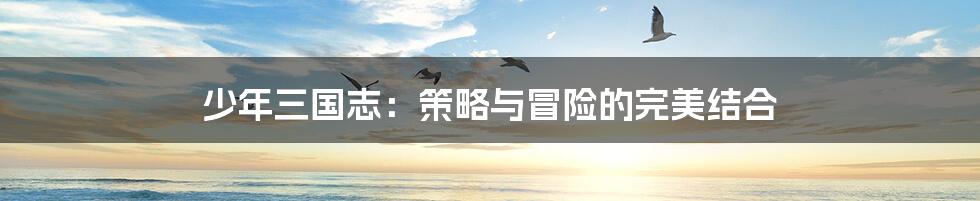 少年三国志:策略与冒险的完美结合