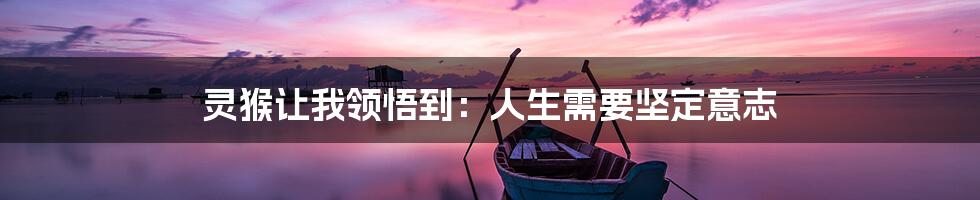 灵猴让我领悟到:人生需要坚定意志