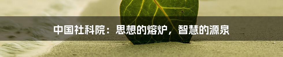 中国社科院：思想的熔炉，智慧的源泉