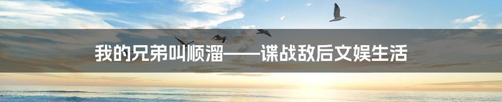 我的兄弟叫顺溜——谍战敌后文娱生活