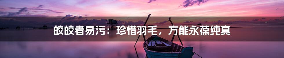 皎皎者易污:珍惜羽毛,方能永葆纯真