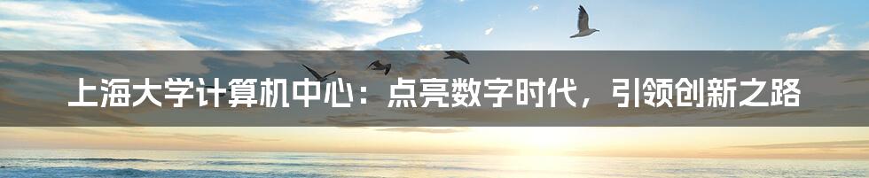 上海大学计算机中心:点亮数字时代,引领创新之路