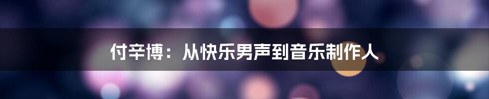付辛博：从快乐男声到音乐制作人