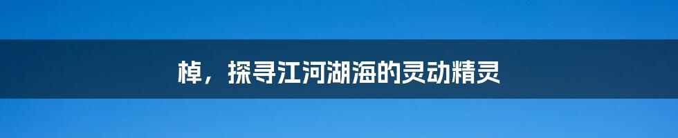 棹,探寻江河湖海的灵动精灵