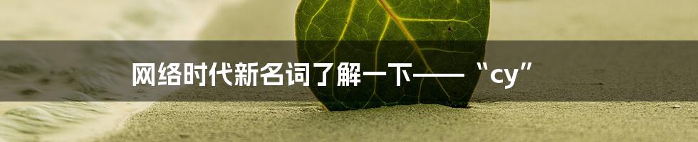 网络时代新名词了解一下——“cy”