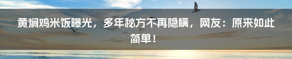 黄焖鸡米饭曝光，多年秘方不再隐瞒，网友：原来如此简单！