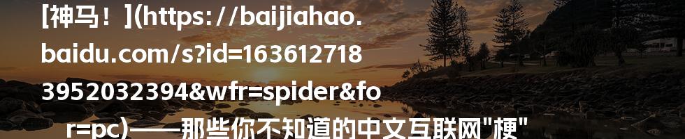 [神马！](https://baijiahao.baidu.com/s?id=1636127183952032394&wfr=spider&for=pc)——那些你不知道的中文互联网"梗"