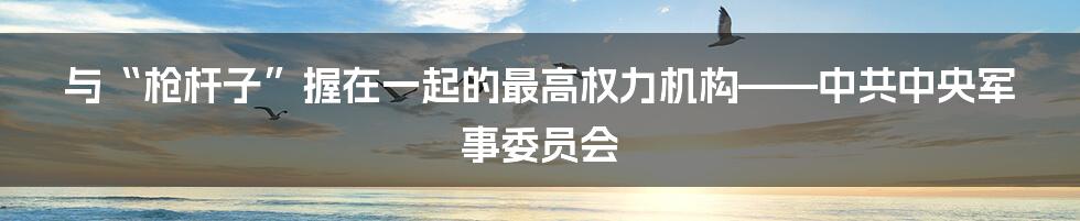 与“枪杆子”握在一起的最高权力机构——中共中央军事委员会