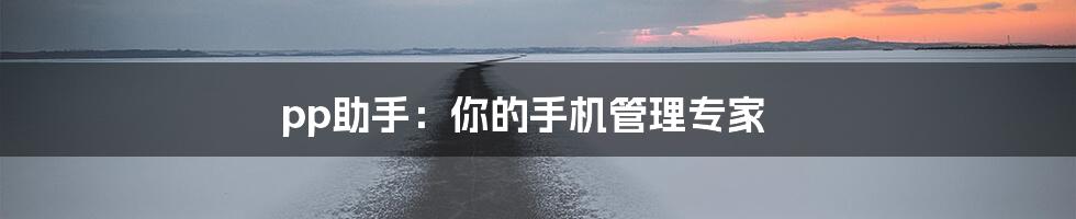 pp助手：你的手机管理专家