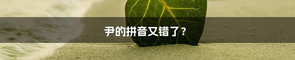 尹的拼音又错了?