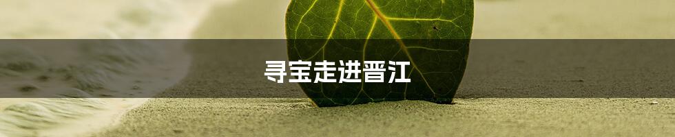 寻宝走进晋江