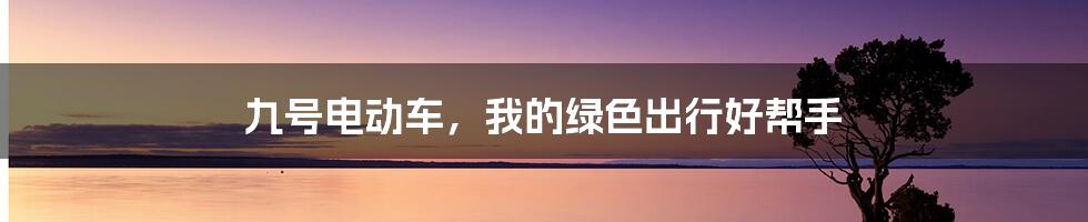 九号电动车,我的绿色出行好帮手