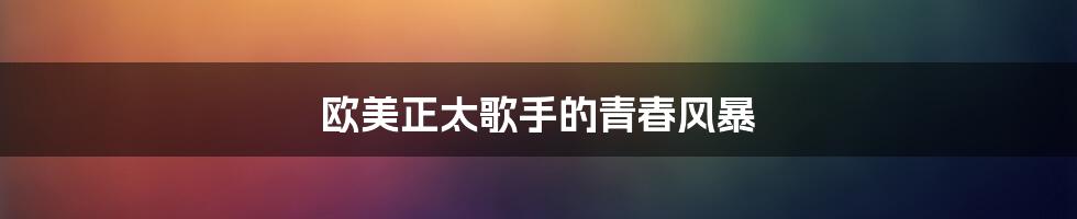 欧美正太歌手的青春风暴