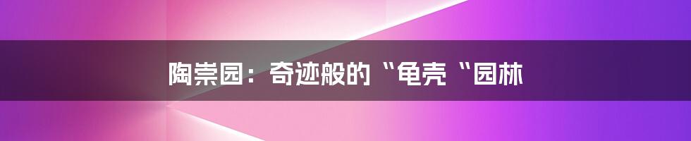 陶崇园：奇迹般的“龟壳“园林