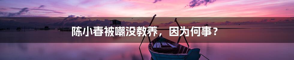 陈小春被嘲没教养,因为何事?