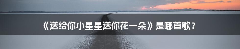 《送给你小星星送你花一朵》是哪首歌?
