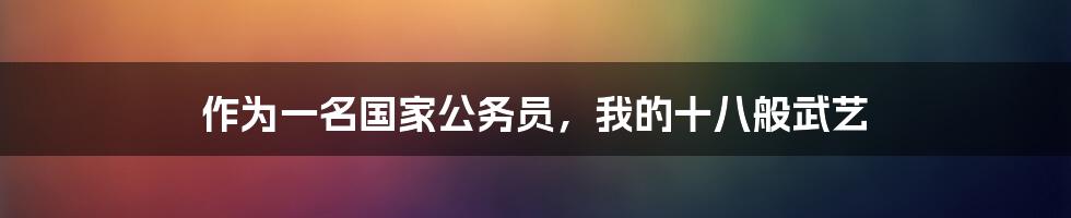 作为一名国家公务员，我的十八般武艺