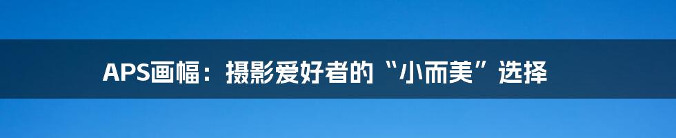 APS画幅:摄影爱好者的“小而美”选择