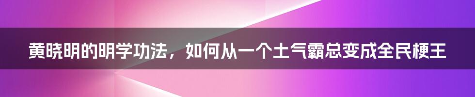 黄晓明的明学功法，如何从一个土气霸总变成全民梗王