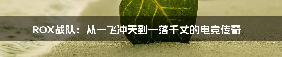 ROX战队：从一飞冲天到一落千丈的电竞传奇