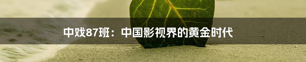 中戏87班：中国影视界的黄金时代