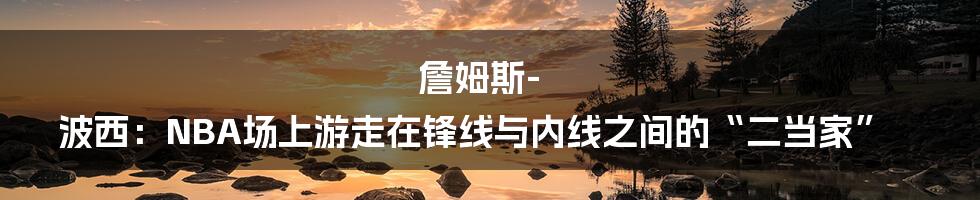 詹姆斯-波西:NBA场上游走在锋线与内线之间的“二当家”