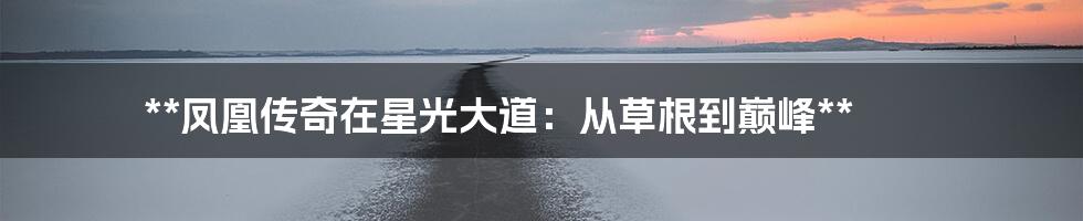 **凤凰传奇在星光大道：从草根到巅峰**