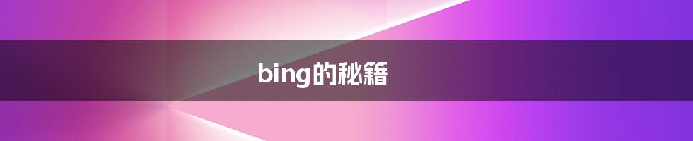 bing的秘籍