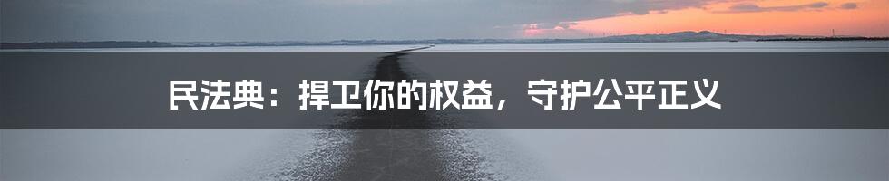 民法典：捍卫你的权益，守护公平正义