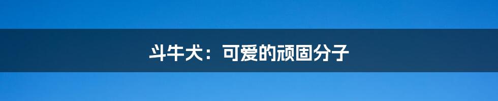 斗牛犬:可爱的顽固分子