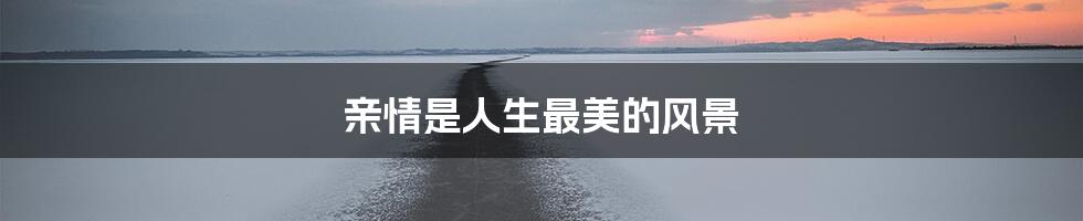 亲情是人生最美的风景