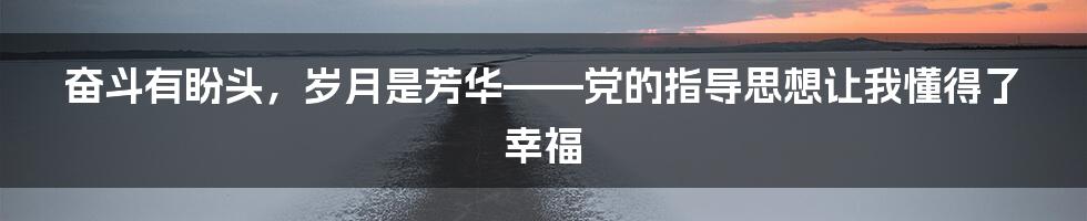 奋斗有盼头,岁月是芳华——党的指导思想让我懂得了幸福