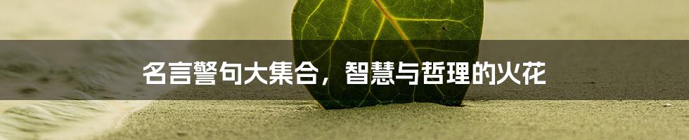 名言警句大集合，智慧与哲理的火花