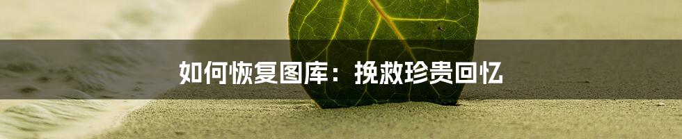 如何恢复图库:挽救珍贵回忆