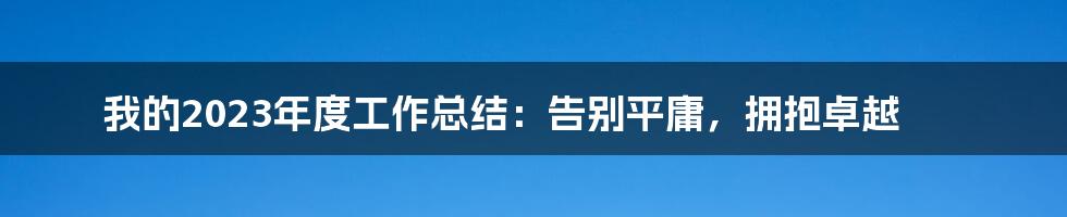 我的2023年度工作总结:告别平庸,拥抱卓越