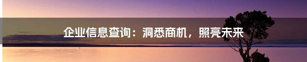 企业信息查询：洞悉商机，照亮未来