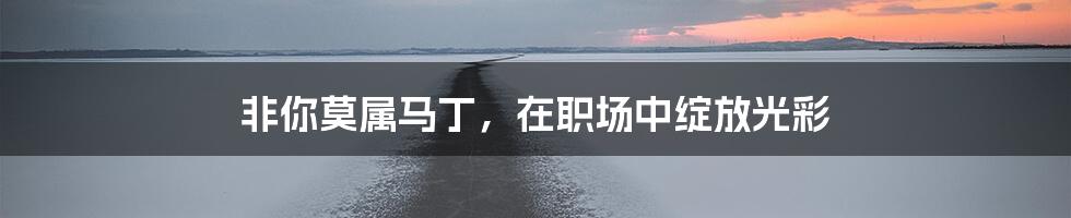 非你莫属马丁,在职场中绽放光彩
