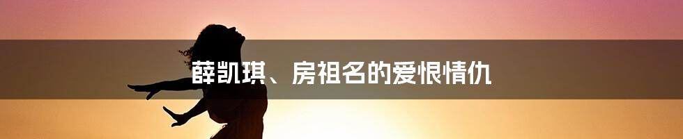 薛凯琪、房祖名的爱恨情仇