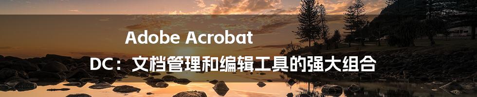 Adobe Acrobat DC：文档管理和编辑工具的强大组合