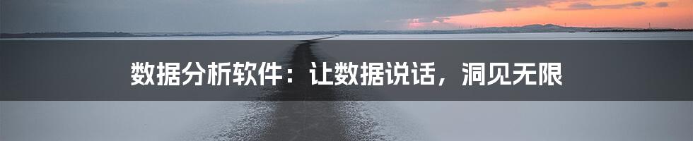 数据分析软件:让数据说话,洞见无限
