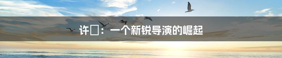 许垚:一个新锐导演的崛起