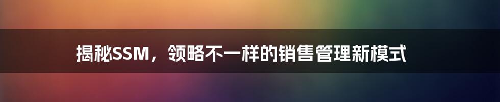 揭秘SSM，领略不一样的销售管理新模式