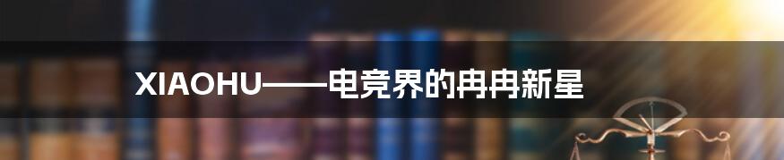 XIAOHU——电竞界的冉冉新星